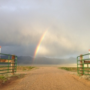 RC gates with rainbow